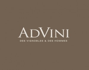 Advini logo